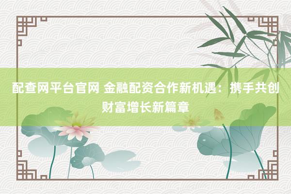 配查网平台官网 金融配资合作新机遇：携手共创财富增长新篇章