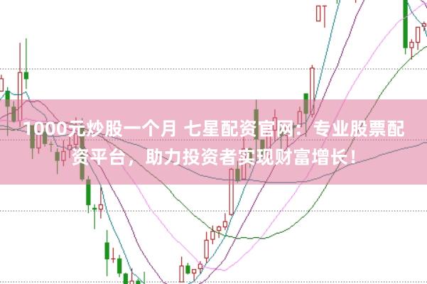 1000元炒股一个月 七星配资官网：专业股票配资平台，助力投资者实现财富增长！