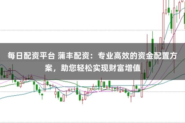 每日配资平台 蒲丰配资：专业高效的资金配置方案，助您轻松实现财富增值