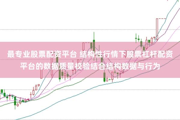 最专业股票配资平台 结构性行情下股票杠杆配资平台的数据质量校验结合结构数据与行为