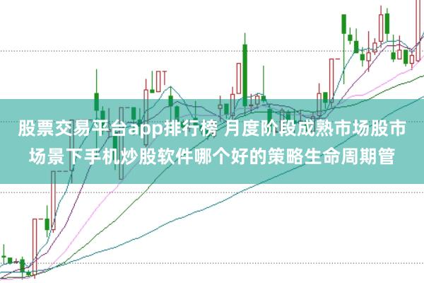 股票交易平台app排行榜 月度阶段成熟市场股市场景下手机炒股软件哪个好的策略生命周期管