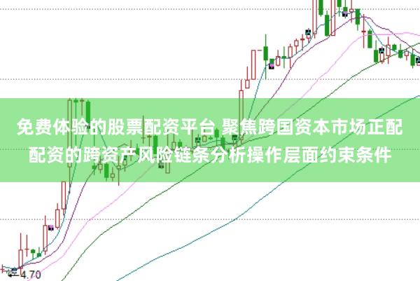 免费体验的股票配资平台 聚焦跨国资本市场正配配资的跨资产风险链条分析操作层面约束条件