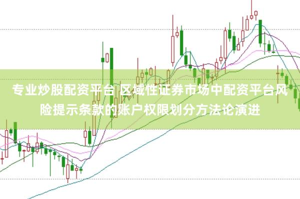 专业炒股配资平台 区域性证券市场中配资平台风险提示条款的账户权限划分方法论演进