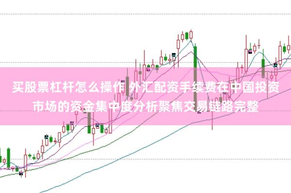 买股票杠杆怎么操作 外汇配资手续费在中国投资市场的资金集中度分析聚焦交易链路完整