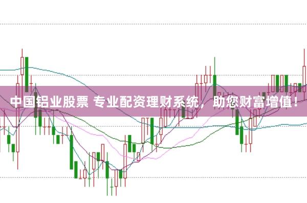 中国铝业股票 专业配资理财系统，助您财富增值！