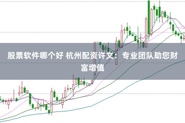 股票软件哪个好 杭州配资许文：专业团队助您财富增值