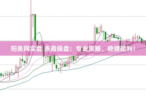 阳美网实盘 赤盈操盘：专业策略，稳健盈利！