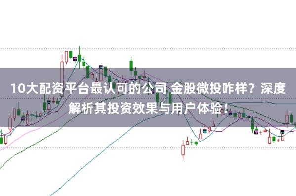 10大配资平台最认可的公司 金股微投咋样？深度解析其投资效果与用户体验！