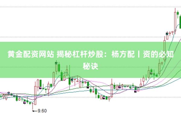 黄金配资网站 揭秘杠杆炒股：杨方配丨资的必知秘诀
