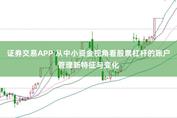 证券交易APP 从中小资金视角看股票杠杆的账户管理新特征与变化