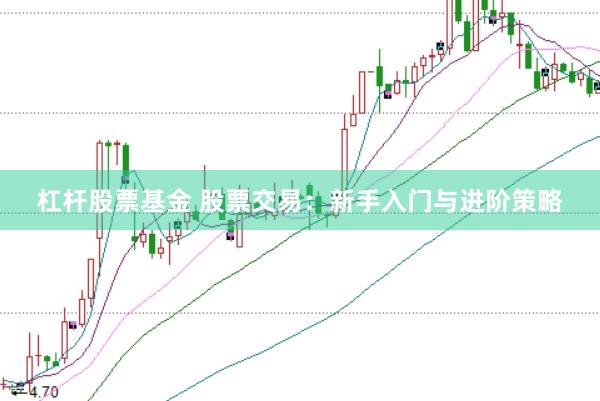 杠杆股票基金 股票交易：新手入门与进阶策略