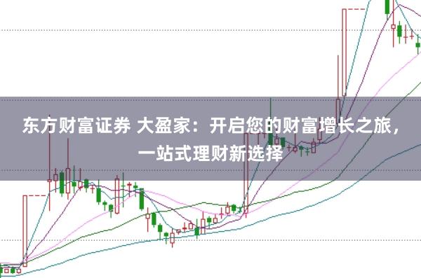 东方财富证券 大盈家：开启您的财富增长之旅，一站式理财新选择