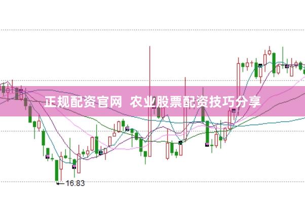 正规配资官网  农业股票配资技巧分享