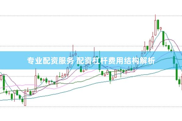 专业配资服务 配资杠杆费用结构解析