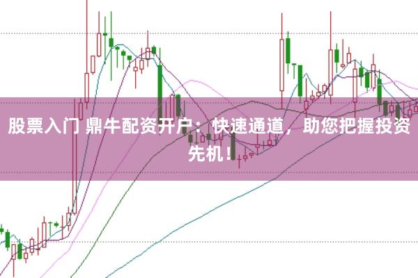 股票入门 鼎牛配资开户：快速通道，助您把握投资先机！