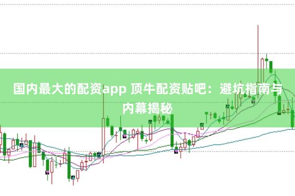 国内最大的配资app 顶牛配资贴吧：避坑指南与内幕揭秘